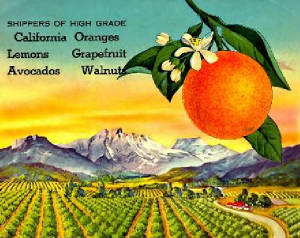 earlycalifornia.jpg