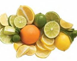 citrus.jpg